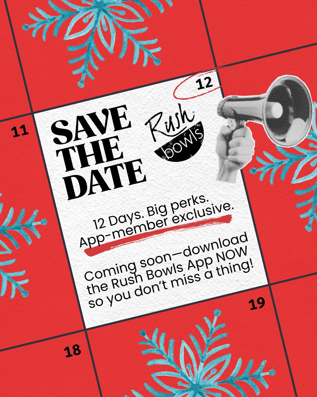 12 days. Big perks. App members only! 
Download the Rush Bowls app NOW to be the first to snag all the exclusive holiday treats! 📲✨ 

