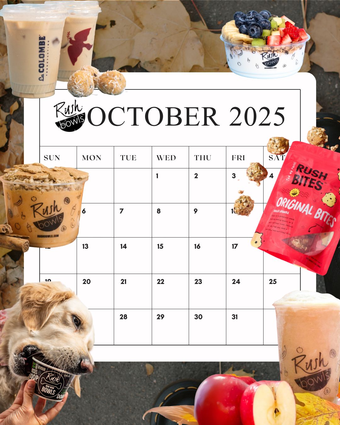 Consider this your official Rush Bowls October mood board — full of cozy flavors, tasty bites, and fall favorites 🍎🍁 Stop by your local Rush Bowls to enjoy the taste of the season! 🎃✨