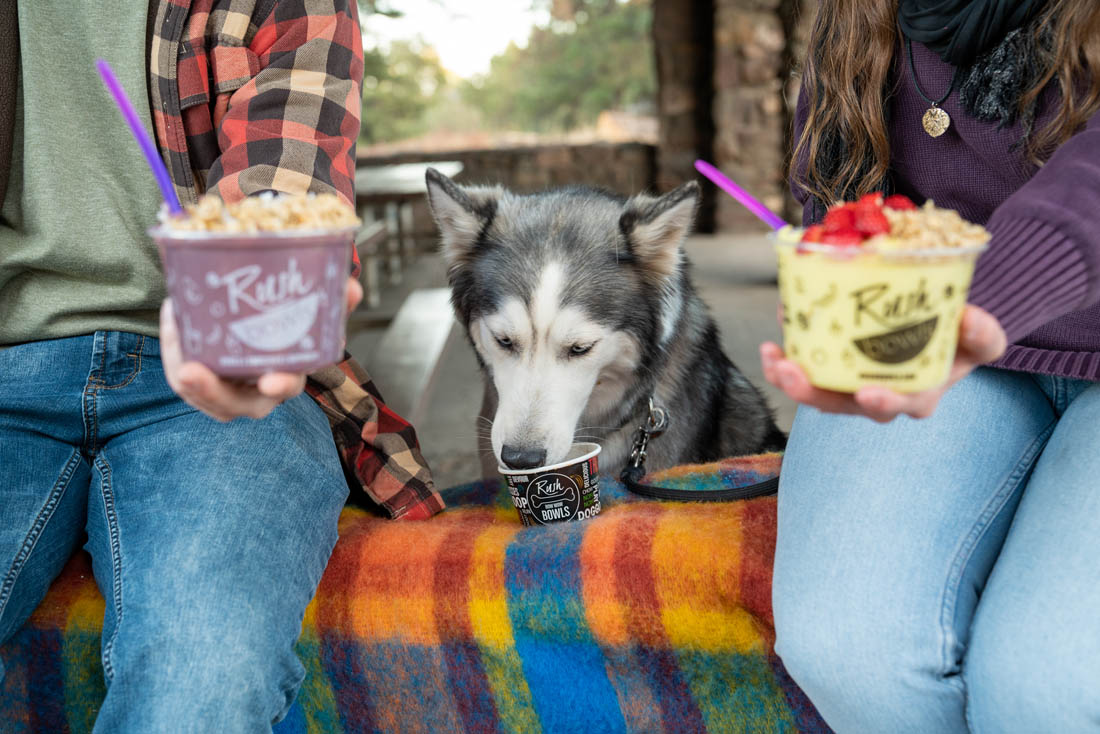 Smoothie bowls from Rush Bowls with a dog, oh what a treat!