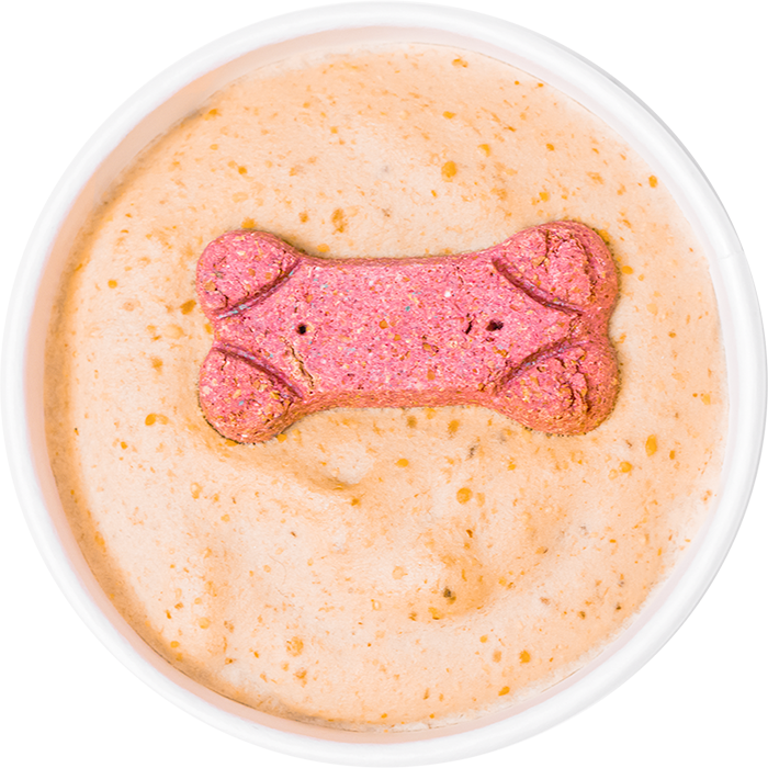 A milk dog bone on top of a pet friendly smoothie bowl. 